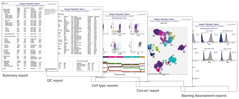 Maxpar Pathsetter Software Analytics Report