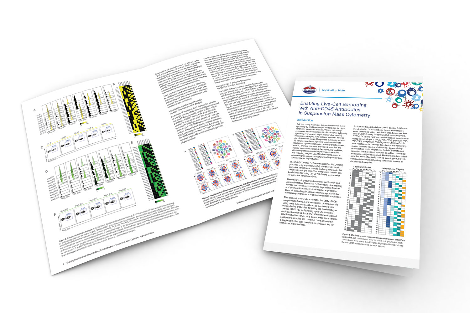 mockup of application note