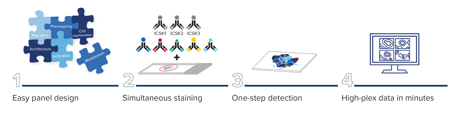 The IMC Cell Segmentation Kit is an important first step to getting improved high-plex cell segmentation.